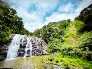 Coorg