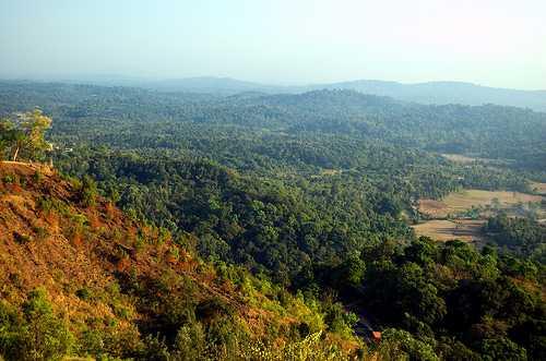Madikeri Abbey Falls