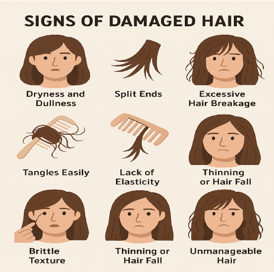 Signs your hair is damage