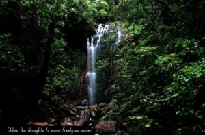 Best Time to Stay at Kodachadri