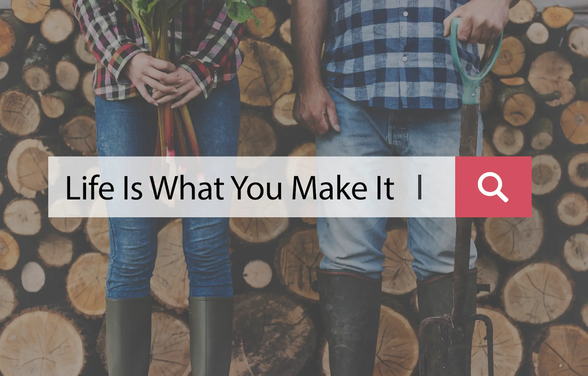 Quotela Net: Everything You Need to Know