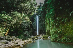 McLean Falls