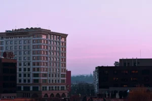 Hotel Rohini International