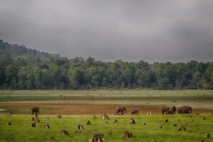 Nagarhole National Park