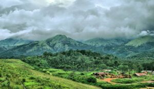 Wayanad