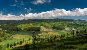 Ooty Travel Guide