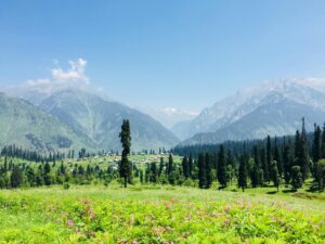 Best Places To Visit In India In The Month of April