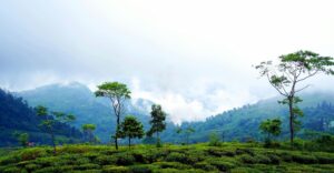 Darjeeling, West Bengal – The Queen of the Hills