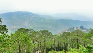 Kasauli Travel Guide