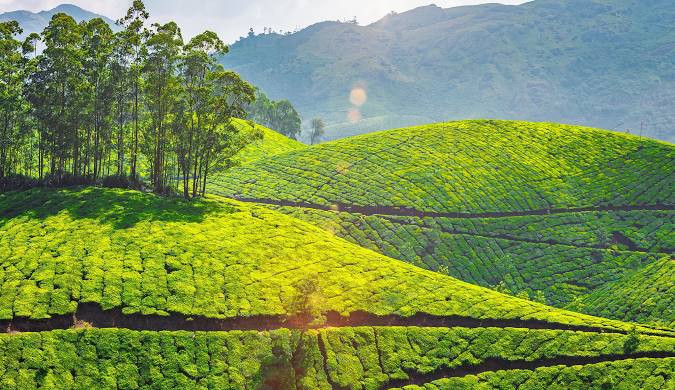 Munnar