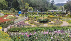 Kodaikanal
